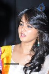 Anushka at Nanna Movie Audio Launch - 40 of 56