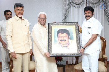 AP CM Releases India Today Special Issue on Balakrishna - 13 of 31