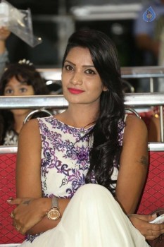 Appudala Ippudila Audio Launch 1 - 39 of 62