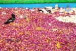 AR Constructions Group  Rohith and Ranjith Marriage Function - 54 of 94