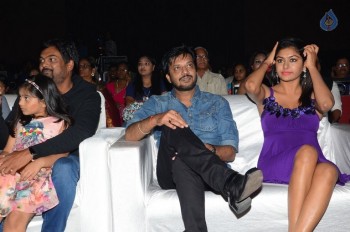 Araku Road Lo Audio Launch 1 - 15 of 63