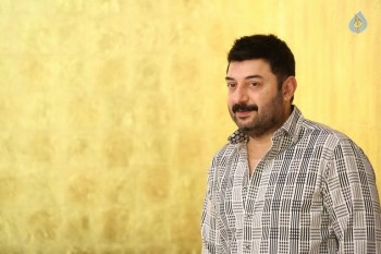 Arvind Swamy Interview Photos - 14 of 34
