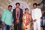 Aryan Rajesh Wedding Reception - 01 - 1 of 44