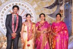 Aryan Rajesh Wedding Reception - 01 - 8 of 44