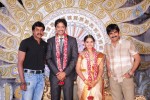 Aryan Rajesh Wedding Reception - 01 - 22 of 44