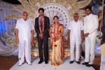 Aryan Rajesh Wedding Reception - 01 - 23 of 44