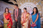 Aryan Rajesh Wedding Reception - 01 - 32 of 44