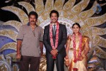 Aryan Rajesh Wedding Reception - 01 - 34 of 44