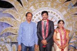 Aryan Rajesh Wedding Reception - 02 - 4 of 92