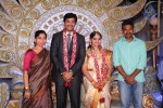 Aryan Rajesh Wedding Reception - 02 - 20 of 92