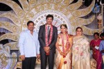 Aryan Rajesh Wedding Reception - 02 - 60 of 92