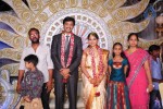 Aryan Rajesh Wedding Reception - 03 - 15 of 96