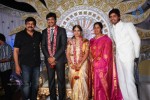 Aryan Rajesh Wedding Reception - 03 - 17 of 96