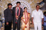 Aryan Rajesh Wedding Reception - 03 - 20 of 96