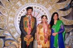 Aryan Rajesh Wedding Reception - 03 - 32 of 96