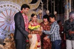 Aryan Rajesh Wedding Reception - 03 - 33 of 96