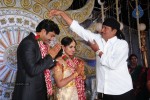 Aryan Rajesh Wedding Reception - 03 - 40 of 96