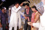 Aryan Rajesh Wedding Reception - 03 - 44 of 96