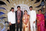 Aryan Rajesh Wedding Reception - 03 - 88 of 96