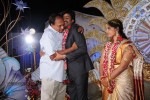 Aryan Rajesh Wedding Reception - 04 - 27 of 34