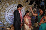 Aryan Rajesh Wedding Reception - 04 - 38 of 34