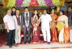 Ashok Kumar Daughter's Marriage - 13 of 24
