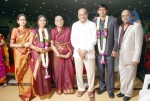 Ashok Kumar Daughter's Marriage - 17 of 24