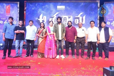 Aswathama Movie Audio Launch - 33 of 50