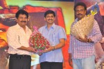 Autonagar Surya Audio Launch 02 - 24 of 98