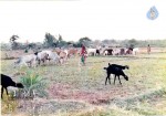 B Narasinga Rao PM And Old Photos - 34 of 88