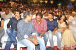 Baadshah Movie Audio Launch 04 - 133 of 187