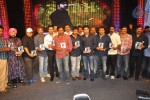 Baadshah Movie Audio Launch 05 - 38 of 75