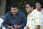 Baava Movie Opening Stills - 5 of 68