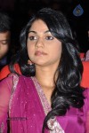 Badrinath Movie Audio Launch - 50 of 136