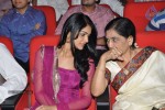 Badrinath Movie Audio Launch - 116 of 136