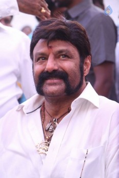 Balakrishana 101 Movie Opening 2 - 1 of 84