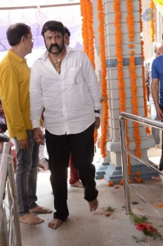 Balakrishana 101 Movie Opening 2 - 49 of 84