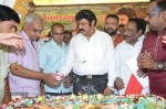 Nandamuri Balakrishna Bday 2014 Celebrations - 136 of 184