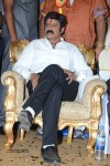 Nandamuri Balakrishna Bday 2014 Celebrations - 116 of 184