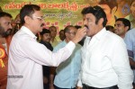 Nandamuri Balakrishna Bday 2014 Celebrations - 57 of 184