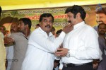 Nandamuri Balakrishna Bday 2014 Celebrations - 58 of 184