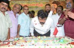 Nandamuri Balakrishna Bday 2014 Celebrations - 122 of 184