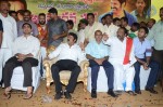 Nandamuri Balakrishna Bday 2014 Celebrations - 126 of 184