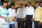 Nandamuri Balakrishna Bday 2014 Celebrations - 23 of 184