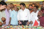 Nandamuri Balakrishna Bday 2014 Celebrations - 104 of 184