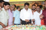 Nandamuri Balakrishna Bday 2014 Celebrations - 108 of 184