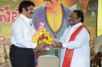 Nandamuri Balakrishna Bday 2014 Celebrations - 132 of 184