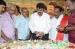 Nandamuri Balakrishna Bday 2014 Celebrations - 159 of 184