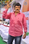 Balakrishna Birthday Celebrations  - 254 of 277