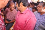 Balakrishna Birthday Celebrations  - 109 of 277